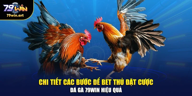Chi tiết các bước để bet thủ đặt cược đá gà 79WIN hiệu quả